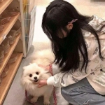 影界重燃私服下载